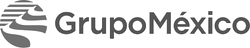 Grupo México